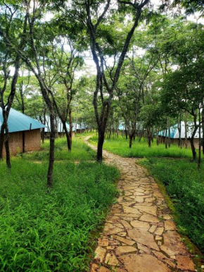 Mikumi Safari Lodge